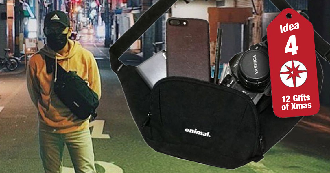 Idea #4 of 12 Gifts for Christmas: ENIMAL BUM BAG