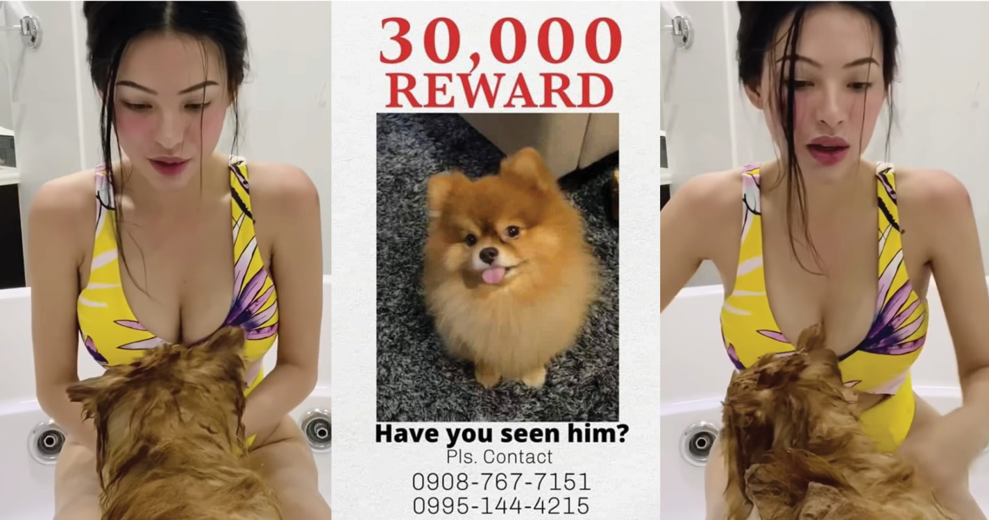 Sunshine Guimary’s Cute Dog Is Missing. Reward: P30,000!